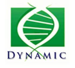 Site web DynAMic